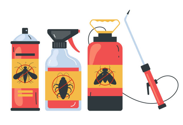 Best Spider Control Near Me  in Enetai, WA