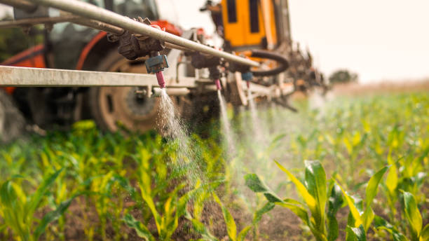 Trusted Enetai, WA Pest Control Experts